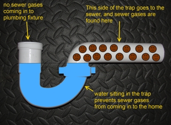 A diagram of a P-Trap with explanations written out of every part of the drain. 